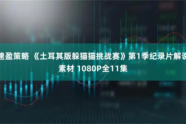 速盈策略 《土耳其版躲猫猫挑战赛》第1季纪录片解说素材 1080P全11集