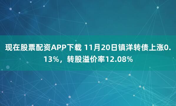 现在股票配资APP下载 11月20日镇洋转债上涨0.13%，转股溢价率12.08%