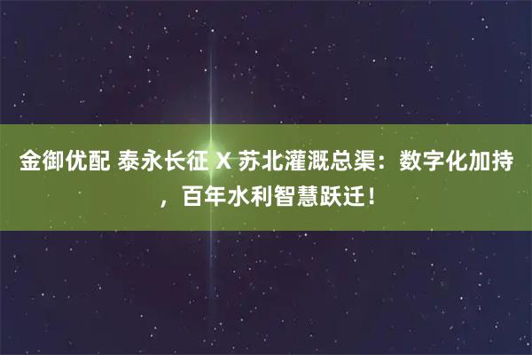 金御优配 泰永长征 X 苏北灌溉总渠：数字化加持，百年水利智慧跃迁！