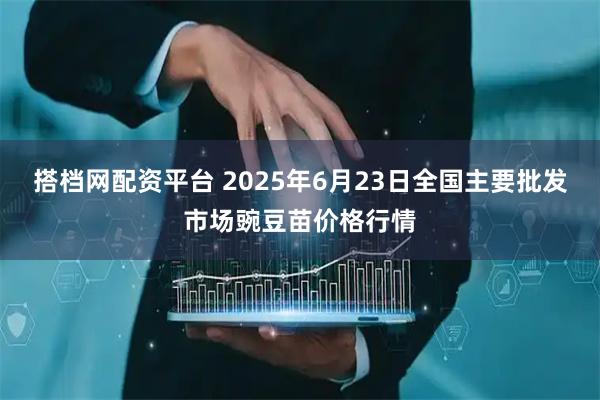 搭档网配资平台 2025年6月23日全国主要批发市场豌豆苗价格行情